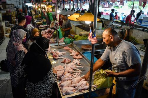 BEKALAN AYAM KURANG