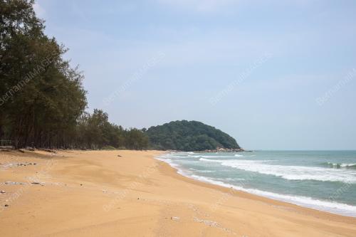 PROJEK PEMULIHARAAN PENYU CHAKAR HUTAN