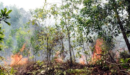 TR07_26072015_BOMBA_TERBAKAR