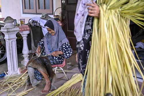 DAUN NIPAH