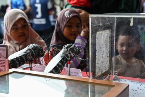 SAMBUTAN HARI DENGGI ASEAN 2025