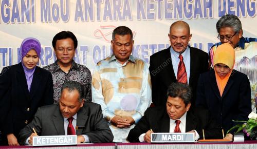 TR07_29092013_KETENGAH_MARDI