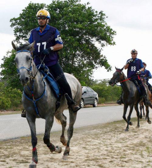 TUANKU MIZAN ZAINAL ABIDIN