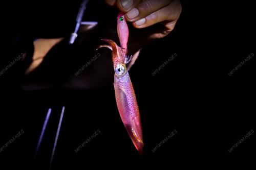 CANDAT SOTONG