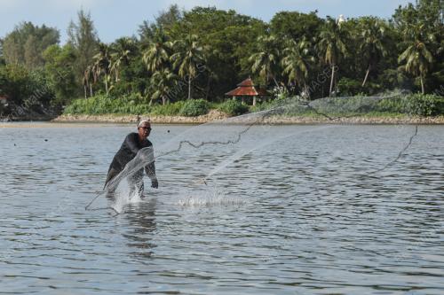 MENJALA IKAN