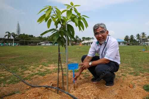 IDRIS IBRAHIM
