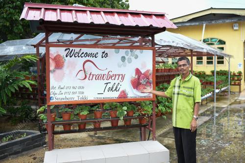 STRAWBERI TERENGGANU