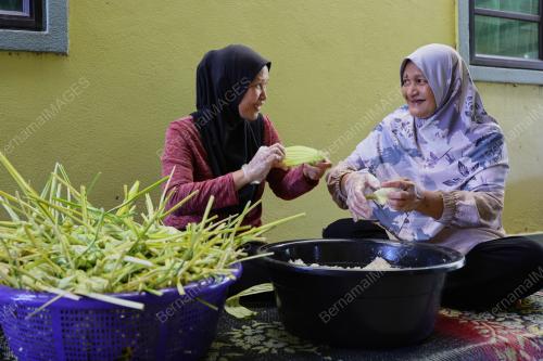 KETUPAT PALAS