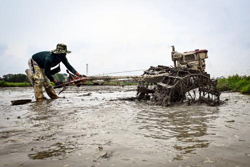 TINJAUAN AKTIVITI PESAWAH