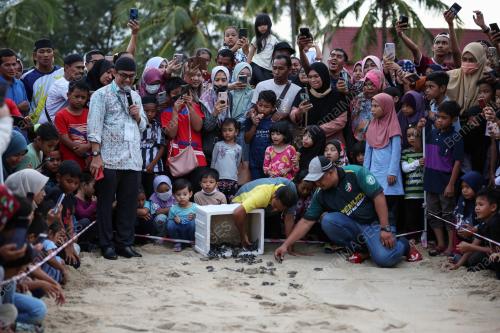 ANAK PENYU