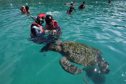 INDUSTRI PELANCONGAN TERENGGANU