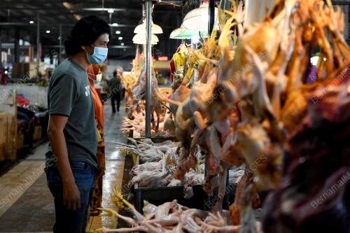 HARGA AYAM
