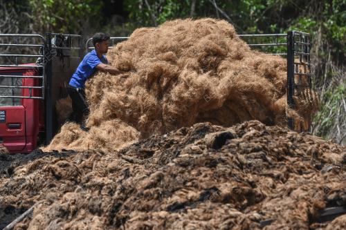 PEMPROSESAN SABUT KELAPA