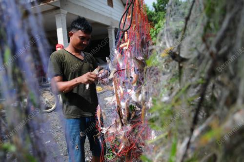 AKTIVITI MUSIM TENGKUJUH