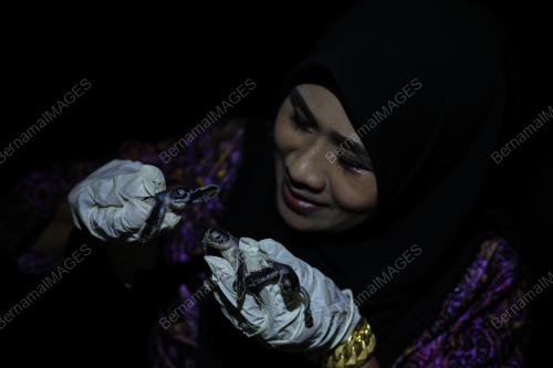 PROGRAM CAKNA PENYU 2023