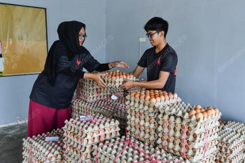 BEKALAN TELUR AYAM