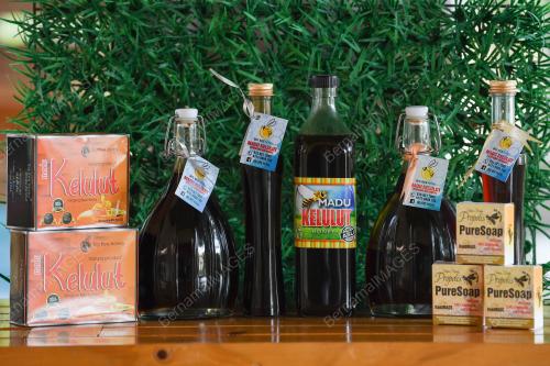 MADU KELULUT
