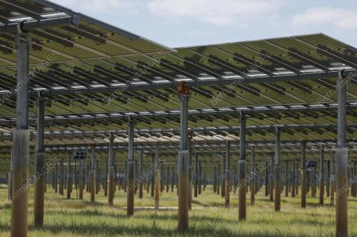 LADANG SOLAR BERSKALA BESAR COARA MARANG