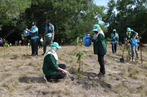 100 JUTA POKOK