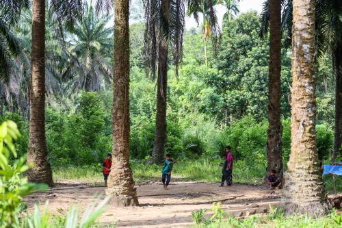 ORANG ASLI SEMAQ BERI