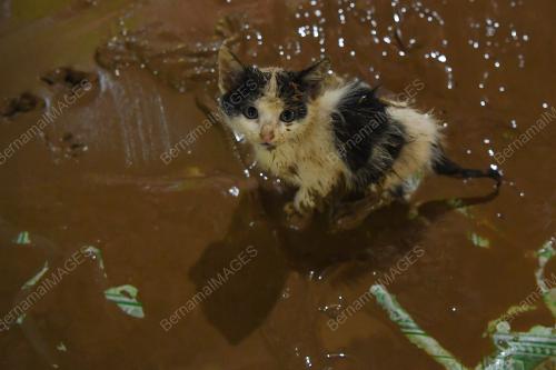 BANJIR TERENGGANU