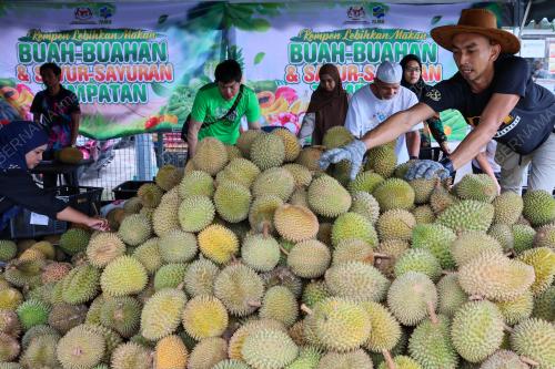 DURIAN FAMA