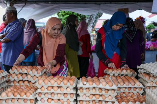 TINJAUAN HARGA TELUR AYAM