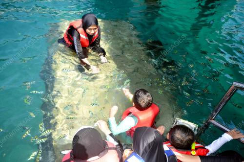 TINJAUAN MUSIM CUTI SEKOLAH