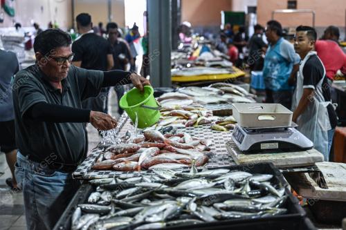 TINJAUAN PENIAGA IKAN