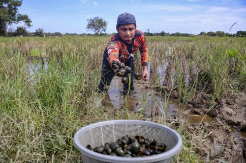 MENCARI SIPUT GONDANG