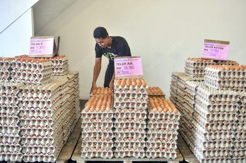 BEKALAN TELUR BERKURANG