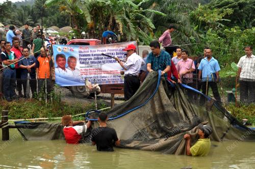 TR09_13012018_KETENGAH_IKAN