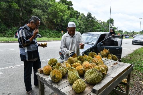 RAJA BUAH TERENGGANU
