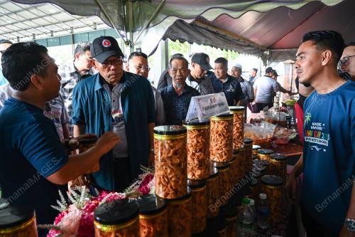 DATUK SERI SAIFUDDIN NASUTION ISMAIL