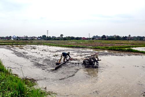 TINJAUAN AKTIVITI PESAWAH