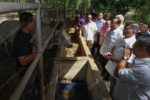 TR09_15082019_AZMIN_LEMBU_BN201908147931
