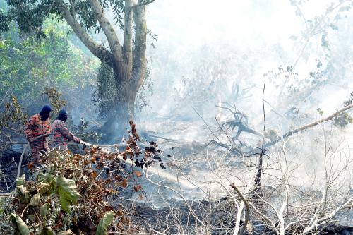 TR09_16022014_HUTAN_TERBAKAR