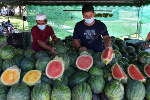 TIMUN CINA LARIS PADA RAMADAN