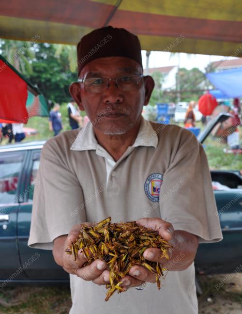 TR09_21102019_MOHAMMAD_SALLEH