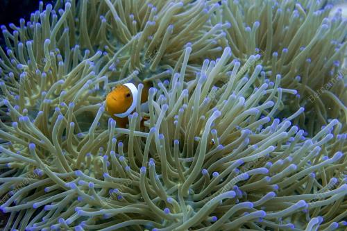 TR09_27082019_BIDONG