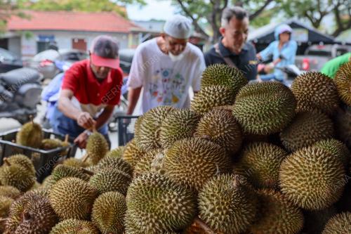 DURIAN FAMA