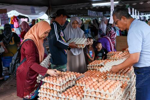 TINJAUAN HARGA TELUR AYAM