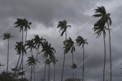 HAKISAN PANTAI