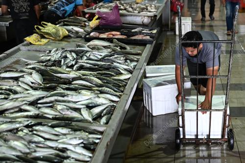 TINJAUAN PENIAGA IKAN