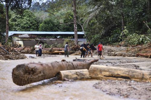 TIMBUNAN KAYU HANYUT
