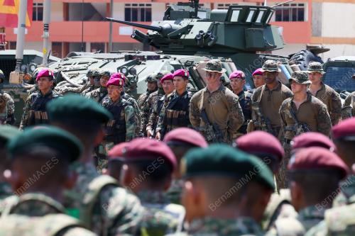 EKSESAIS TIGER STRIKE