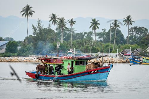 LEMBU_BOT