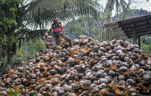 REZEKI BUAH KELAPA