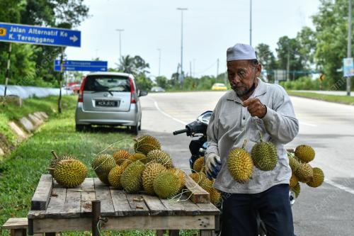 RAJA BUAH TERENGGANU