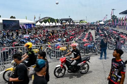 RXZ MEMBERS 6.0